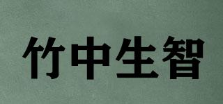 竹中生智品牌logo