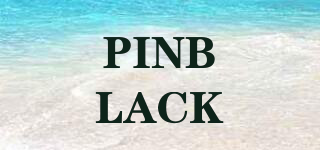 PINBLACK品牌logo
