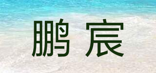鹏宸品牌logo