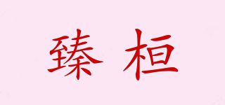 臻桓品牌logo