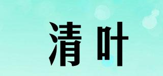 清叶品牌logo