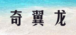 奇翼龙品牌logo