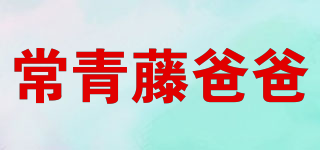 IVY DAD/常青藤爸爸品牌logo