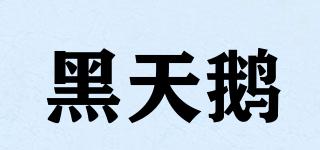 beswan/黑天鹅品牌logo