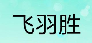 FYS/飞羽胜品牌logo