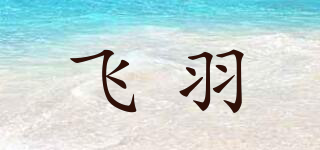 飞羽品牌logo