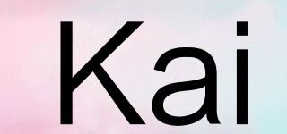 Kai品牌logo