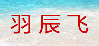 Y.CFLYING/羽辰飞品牌logo