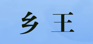 乡王品牌logo