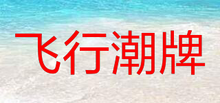 VIP/飞行潮牌品牌logo