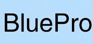 BluePro品牌logo
