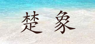 楚象品牌logo