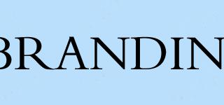 BRANDINI品牌logo