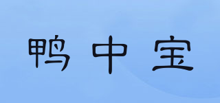 鸭中宝品牌logo
