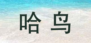 哈鸟品牌logo