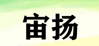ZIOLLYIOR/宙扬品牌logo