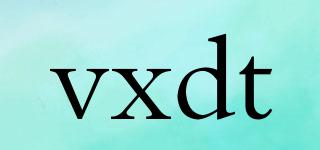 vxdt品牌logo