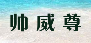 帅威尊品牌logo