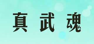 真武魂品牌logo