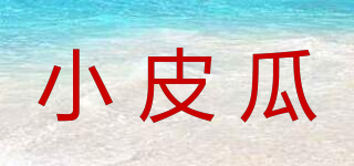 小皮瓜品牌logo