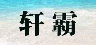 轩霸品牌logo