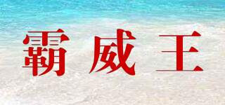 霸威王品牌logo