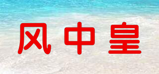 风中皇品牌logo