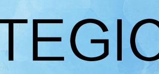 TEGIC品牌logo
