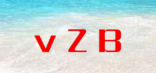 vZB品牌logo