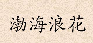 渤海浪花品牌logo