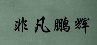 非凡鹏辉品牌logo