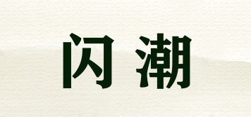 闪潮品牌logo