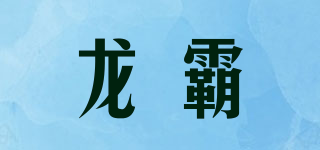 龙霸品牌logo