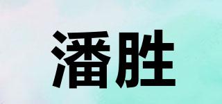 潘胜品牌logo
