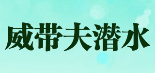 V.DIVE vertical/威带夫潜水品牌logo