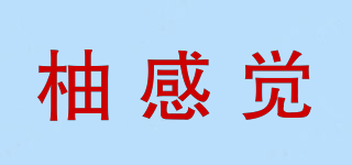 柚感觉品牌logo