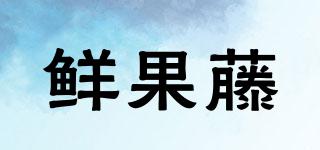 鲜果藤品牌logo