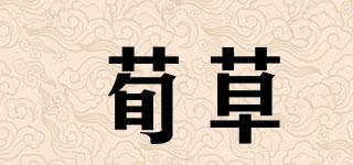 荀草品牌logo