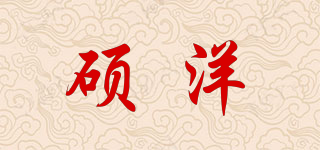 SUOYOUNG/硕洋品牌logo