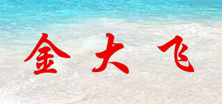金大飞品牌logo