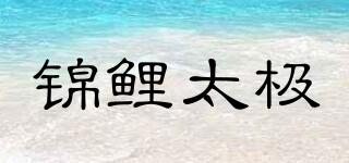 锦鲤太极品牌logo