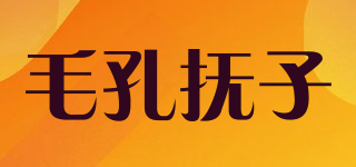 毛孔抚子品牌logo