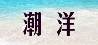 潮洋品牌logo