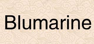 Blumarine品牌logo