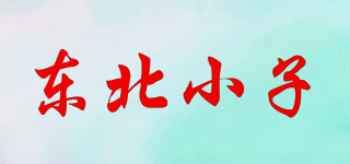东北小子品牌logo