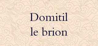 Domitille brion品牌logo