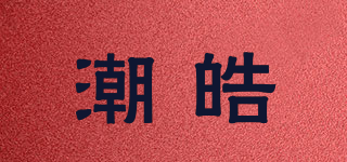 潮皓品牌logo