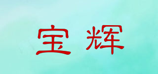 宝辉品牌logo