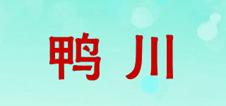 鸭川品牌logo