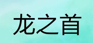 龙之首品牌logo